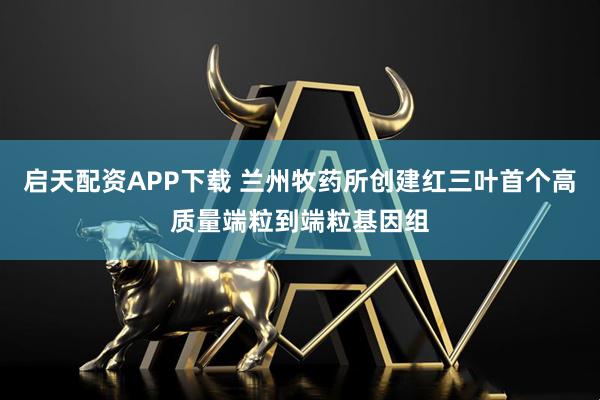启天配资APP下载 兰州牧药所创建红三叶首个高质量端粒到端粒基因组